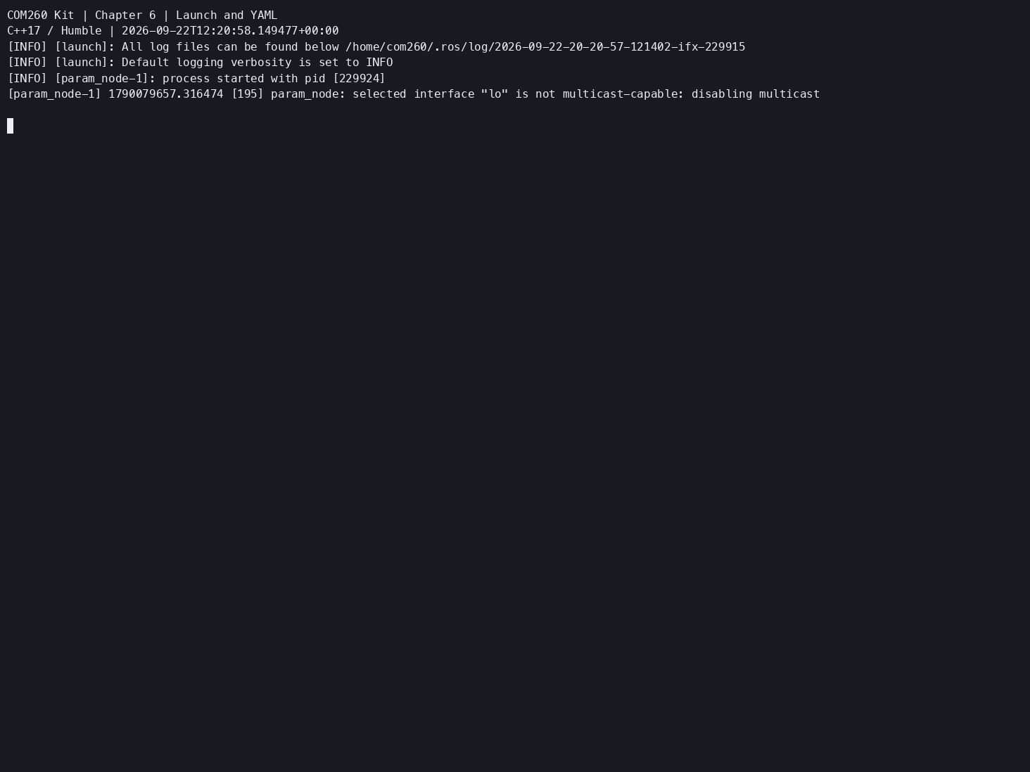 COM260 使用 Launch 加载 YAML