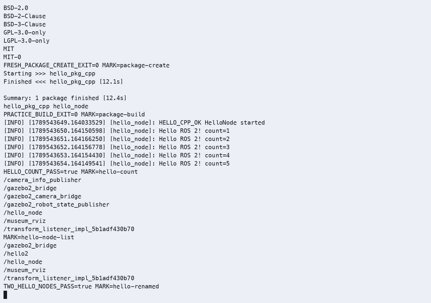 COM260 同时运行 hello_node 与重命名后的 hello2,ros2 node list --no-daemon --spin-time 10 显示两个独立节点。